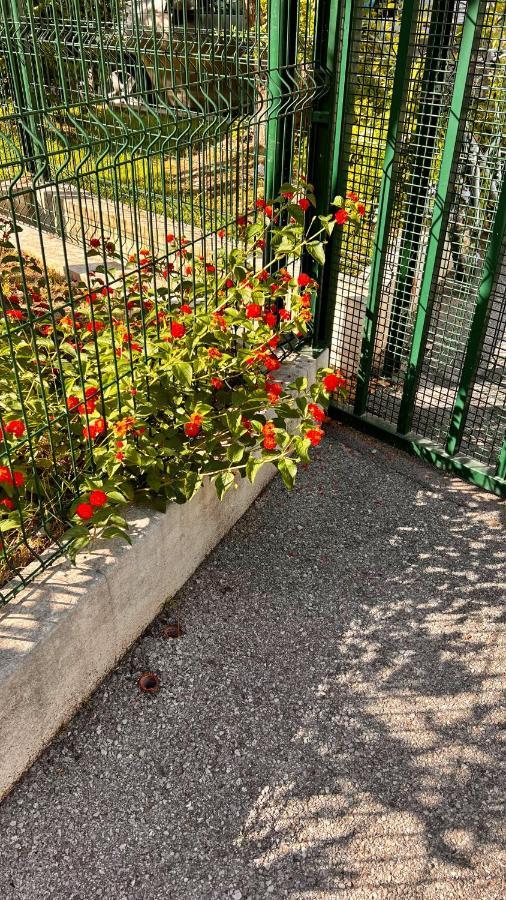 Le Val D'Azur Apartman Nizza Kültér fotó